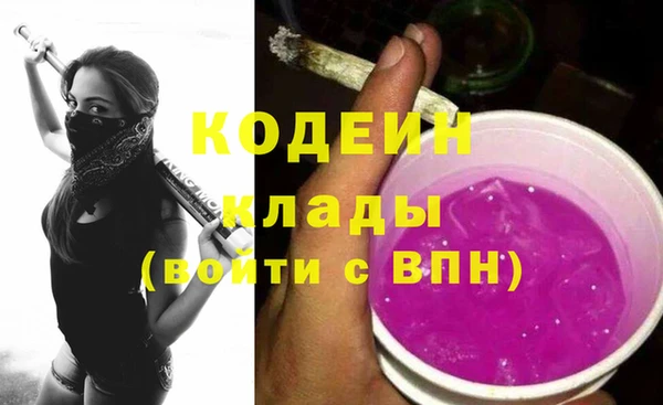 дурь Осташков