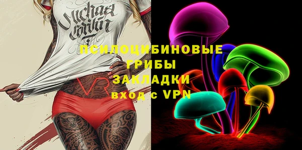 дурь Осташков