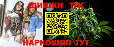 spice Дубна