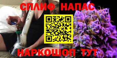 СК Донской