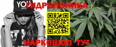 spice Дубна