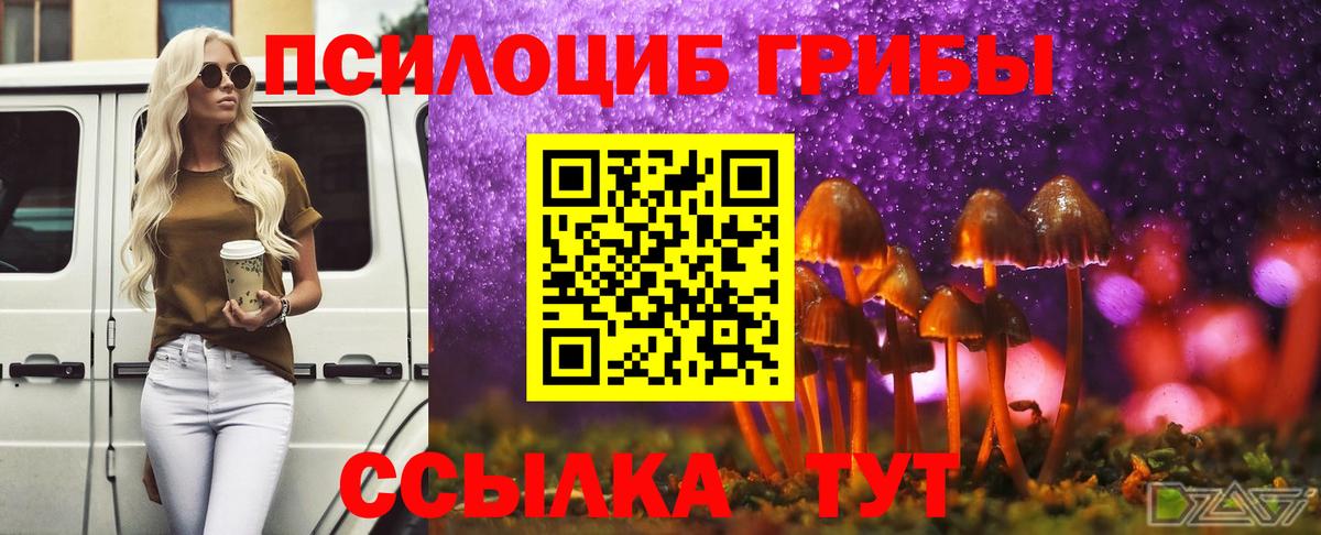 Галлюциногенные грибы мухоморы Кирово-Чепецк